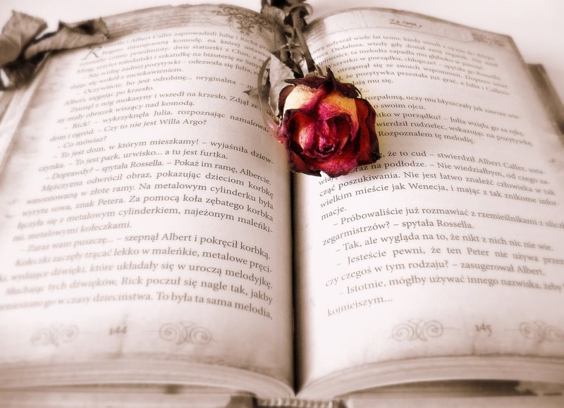 Recycled Kids' Books