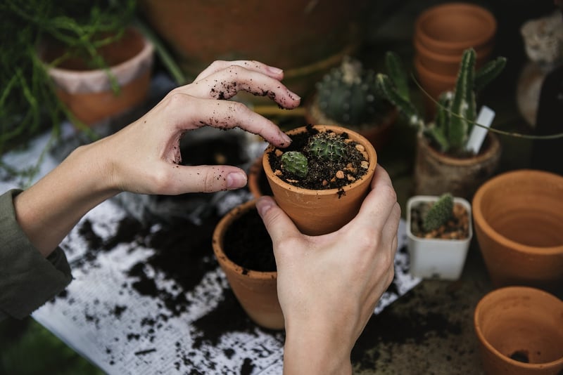 Planting Kits